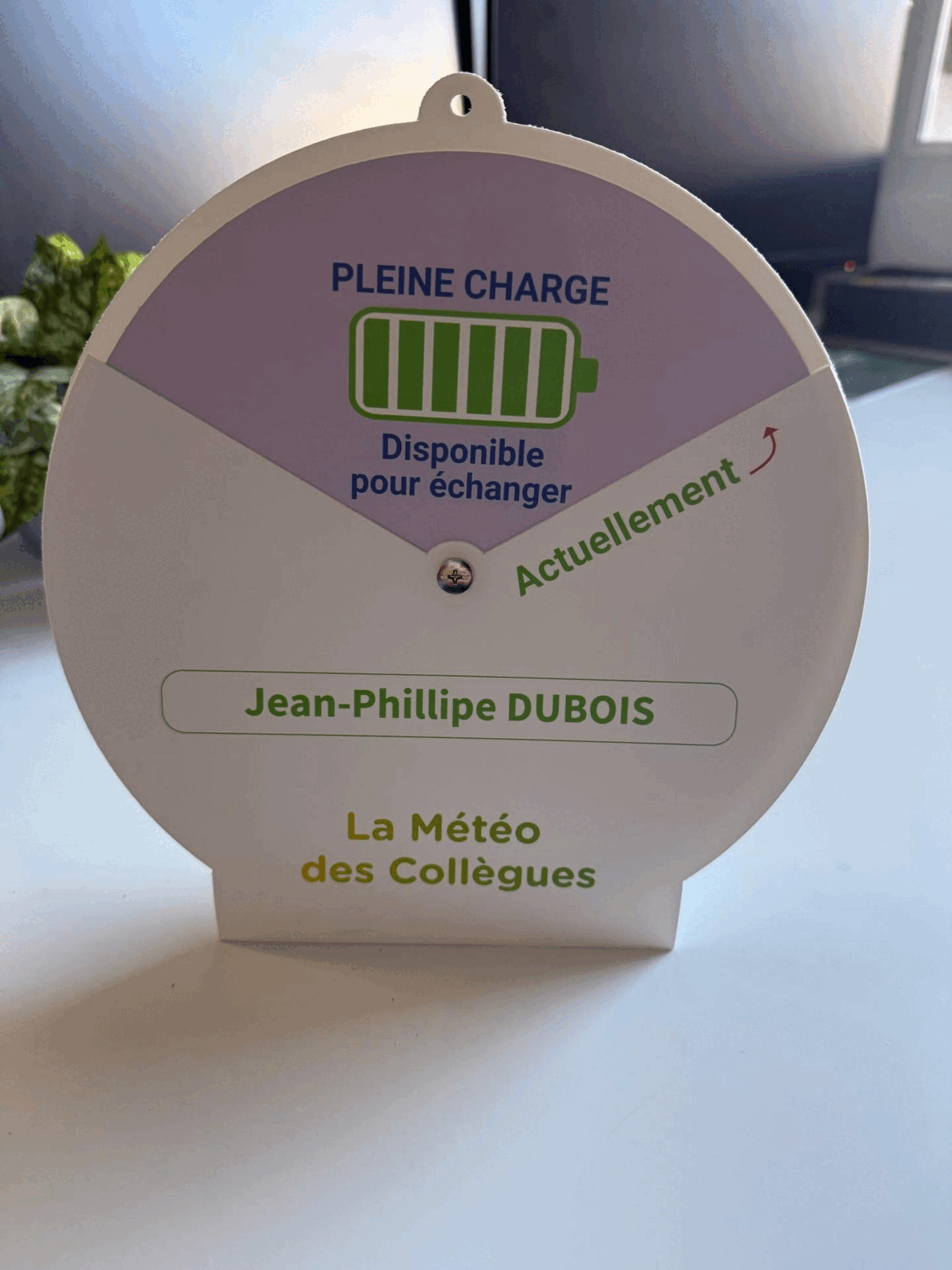 papier carton découpe plv événementiel