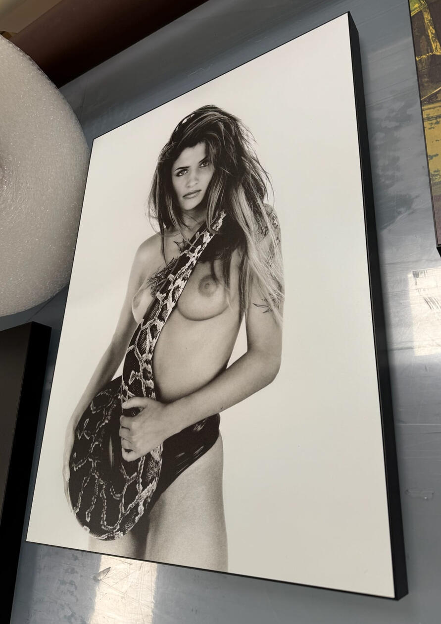 Dibond cadre métallique artiste